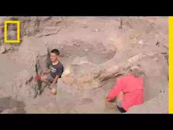 Video: Boy Trips While Hiking, Discovers Million-Year-Old Fossil | National Geographic